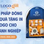 Giải pháp đóng gói quà tặng in logo cho doanh nghiệp